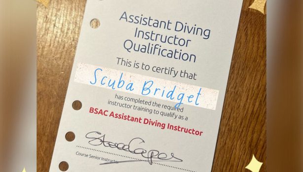 Abby is now a qualified…
