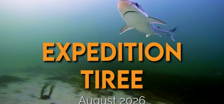 Tiree expedition video!