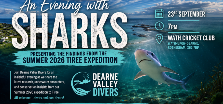 🦈 AN EVENING WITH SHARKS! 🌊