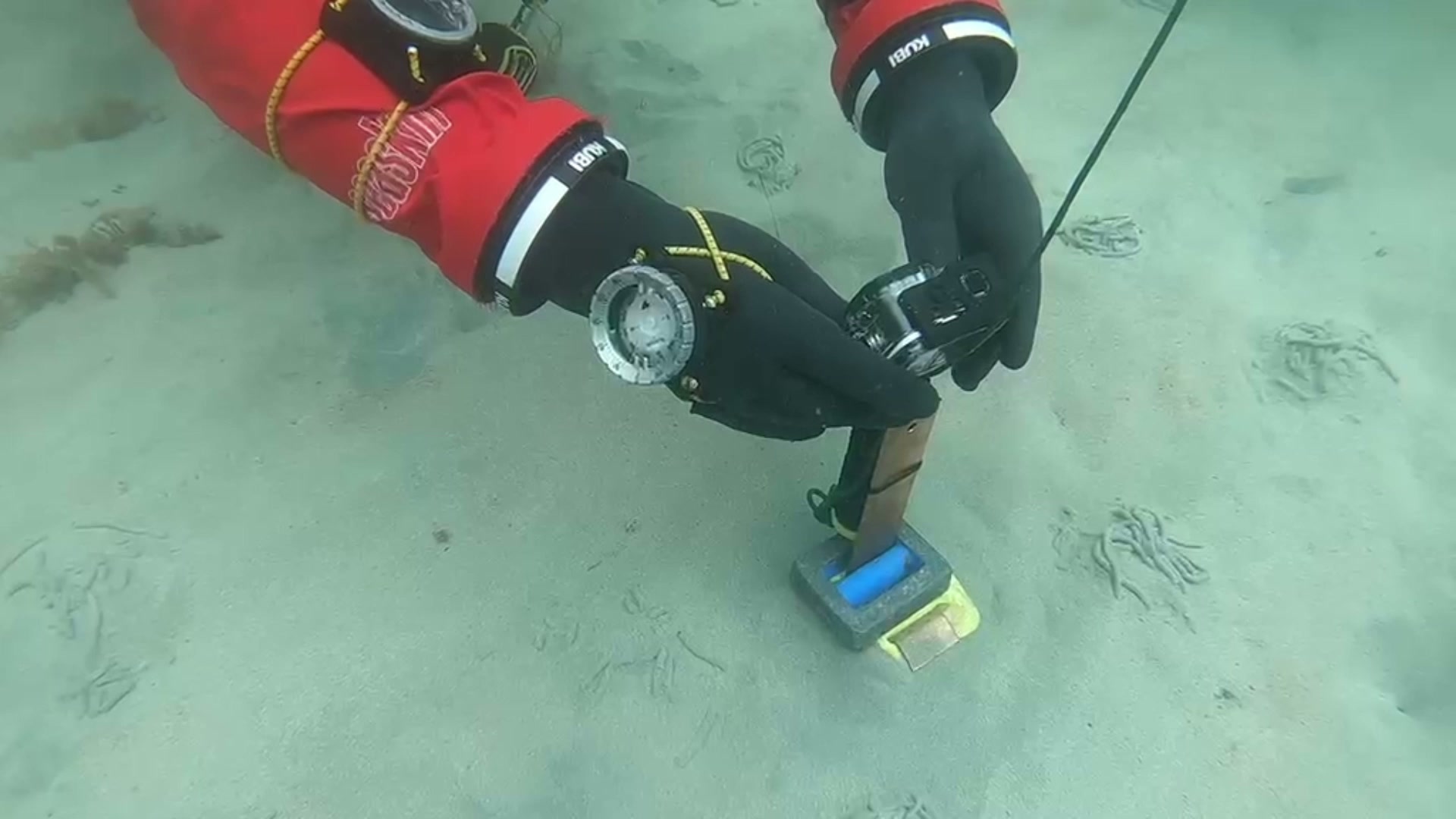 Dearne Valley Divers